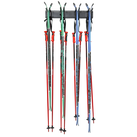 Wall-Mounted Ski Rack with 4 Adjustable Hooks